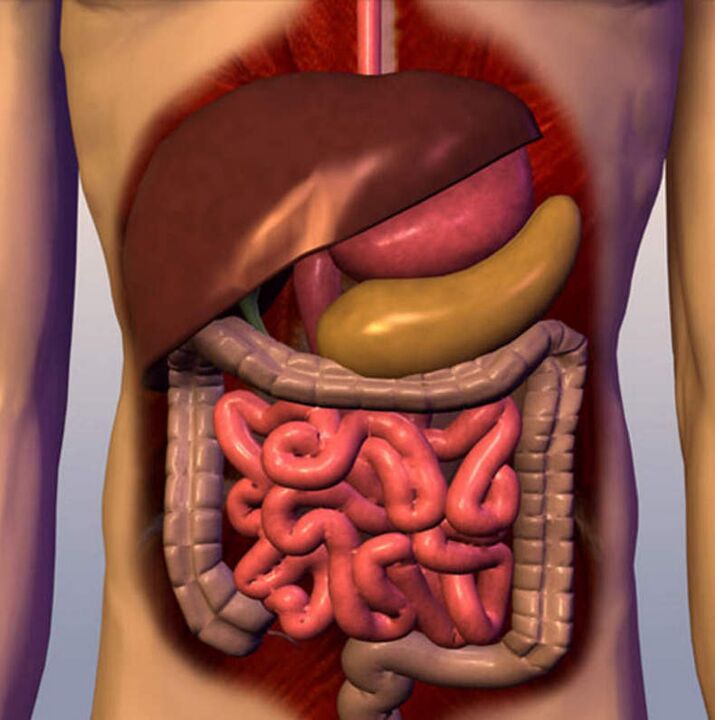 parasites inside the body