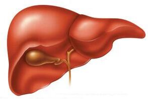In the acute phase of helminthiasis, the liver can be enlarged