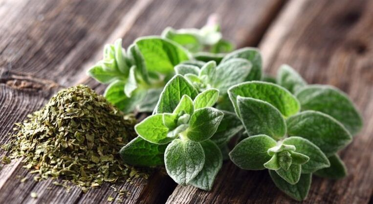 oregano has activity against parasites