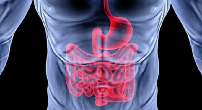Diseases caused by worms